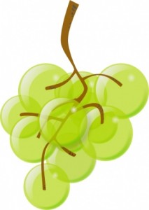 green-grapes-clip-art